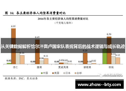 从关键数据解析恰尔汗奥卢国家队表现背后的战术逻辑与成长轨迹